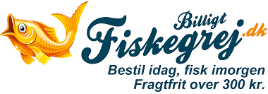 sagging forsinke Dømme Find fiskegrej og blink til fiskeri i god kvalitet hos Billigt Fiskegrej -  medieforeningen.dk