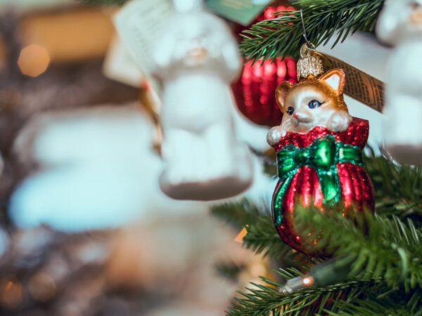 Oplev det unikke præg af julepynt med katte fra Catshop til dit hjem